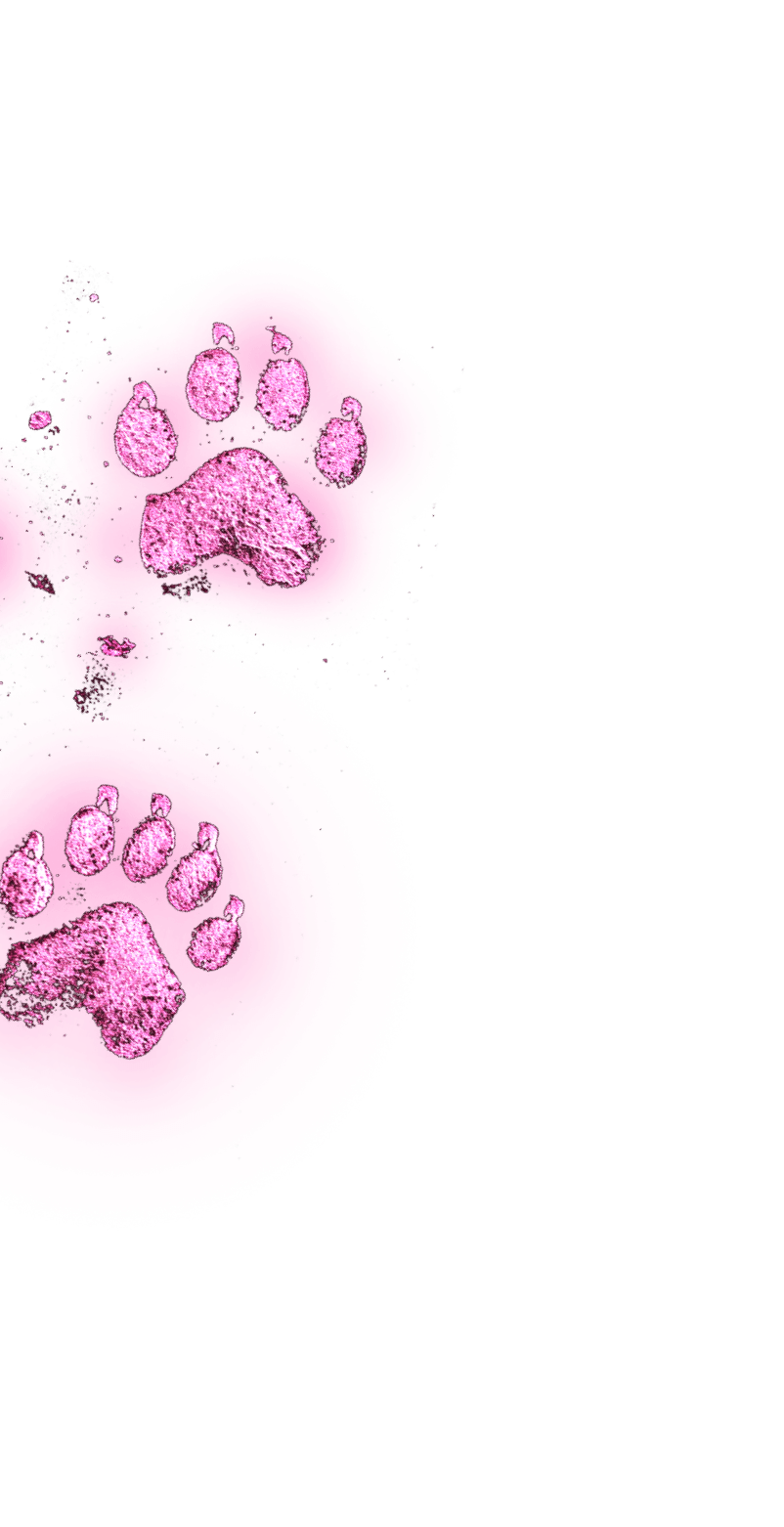 Paw prints