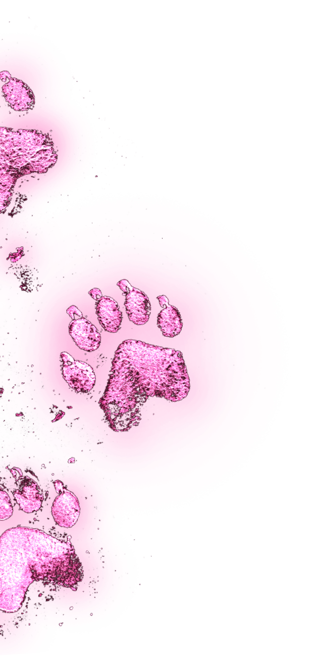 Paw prints